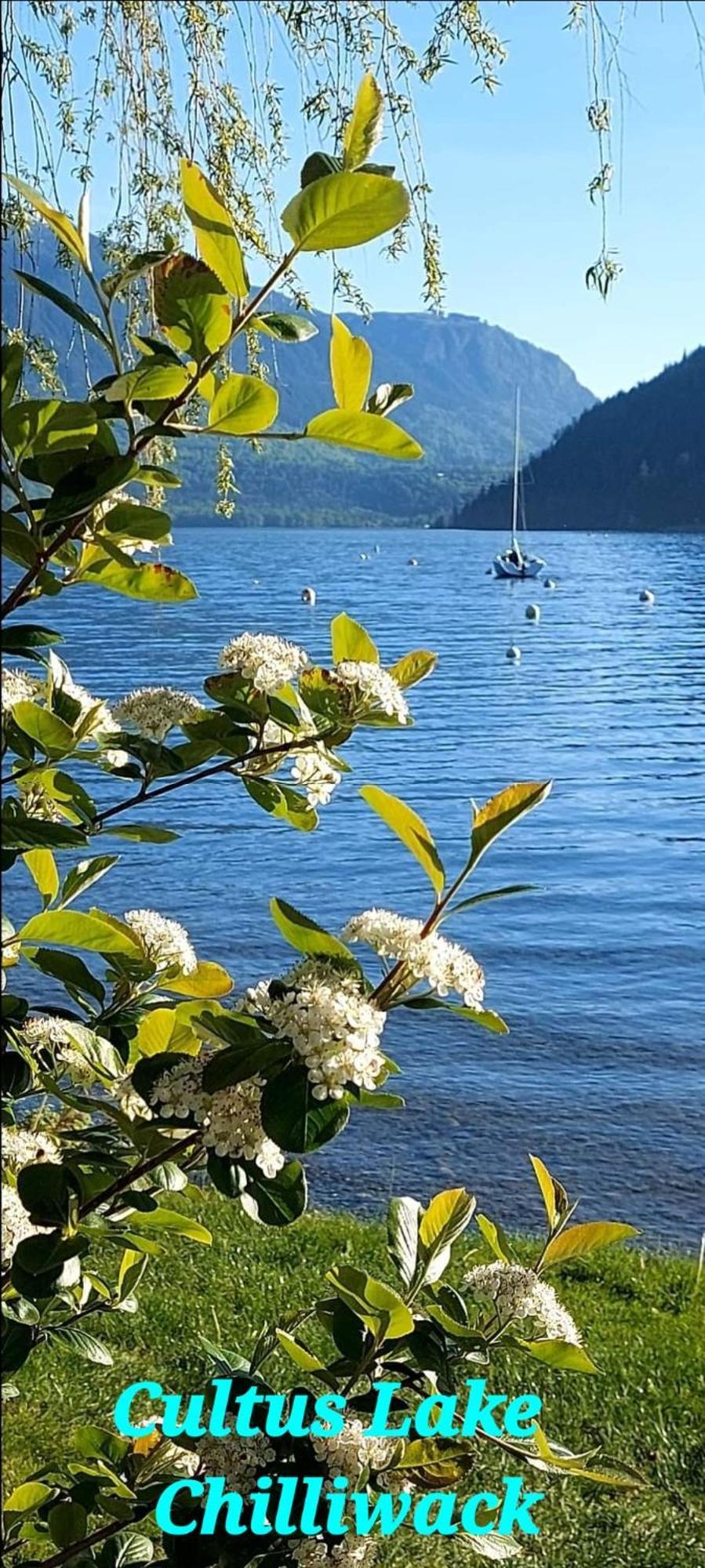 Private 2 Bedrooms Suite Near Hwy 1, Cultus Lake, Heritage Park, Fishing, Coliseum Chilliwack Chambre photo